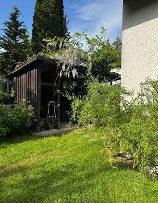 Garten mit Gartenhaus