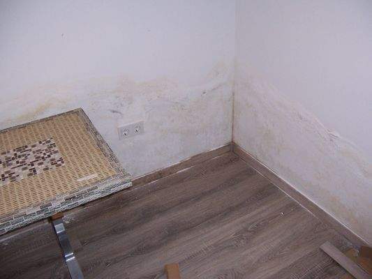 leichte Feuchtigkeit Keller.JPG