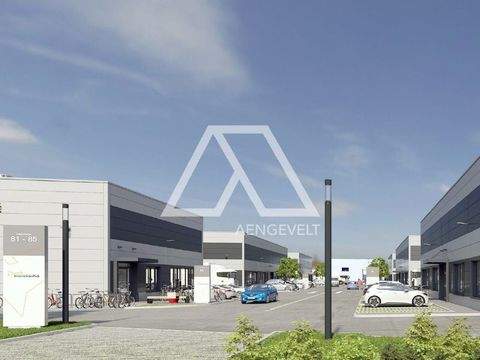 Viersen Halle, Viersen Hallenfläche