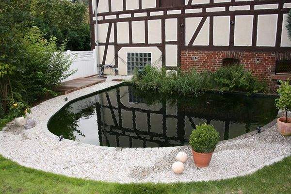 Koi- Schwimmteich.JPG