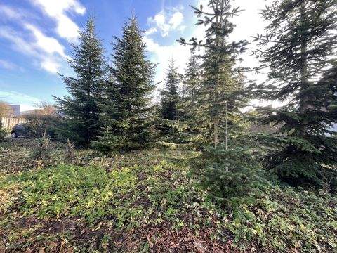 Coesfeld Grundstücke, Coesfeld Grundstück kaufen