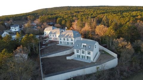 Bad Fischau Häuser, Bad Fischau Haus kaufen