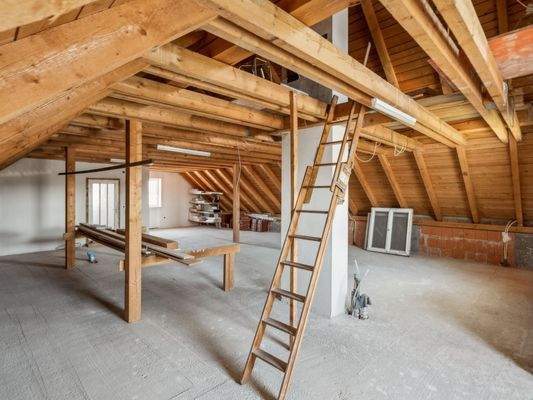 DG - Ausbaubarer Raum