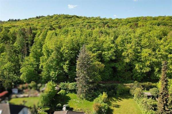 Luftbild-Blick zum Wald_Garten