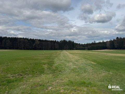 St. Willibald Bauernhöfe, Landwirtschaft, St. Willibald Forstwirtschaft