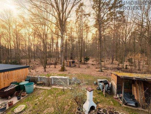 Blick hinter das Haus 