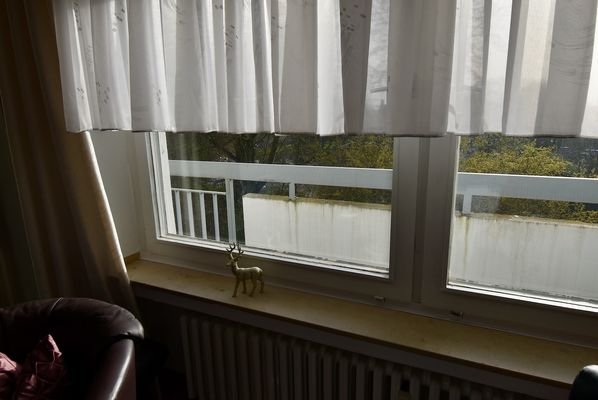 Holzfenster mit Zweifachverglasung