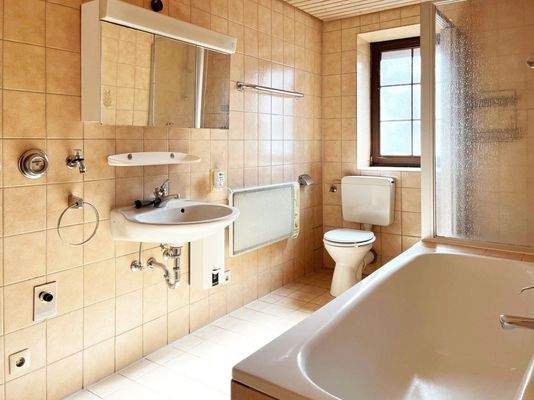 Tageslichtbad 1. OG - Hauptstraße 263