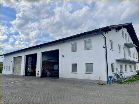 Mühldorf am Inn Halle, Mühldorf am Inn Hallenfläche