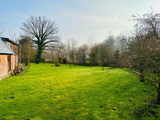 17-Garten