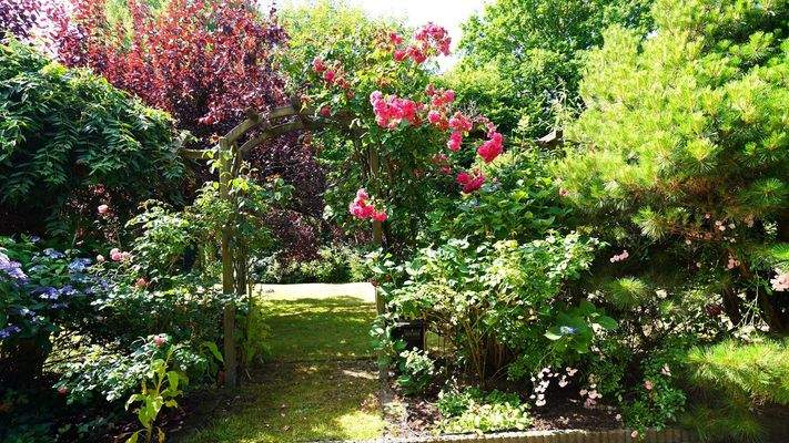 ...auf wundervoll eingewachsenem Grundstück