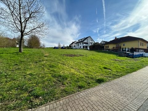 Kraichtal / Münzenheim Grundstücke, Kraichtal / Münzenheim Grundstück kaufen