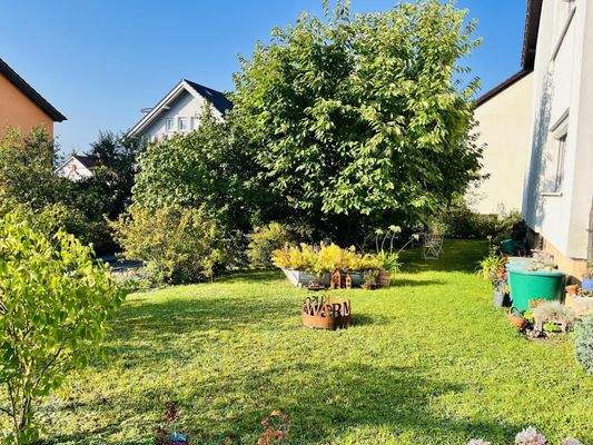 Gartengrundstück mit Baumbestand