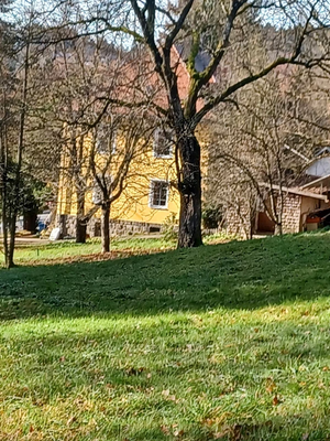 8e8ccd68-1cfd-458d-9be5-ce0290673f86