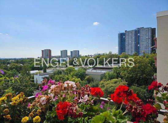 Ausblick vom Balkon nach Süden