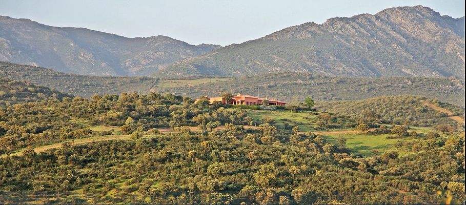 General view 2 b.jpg