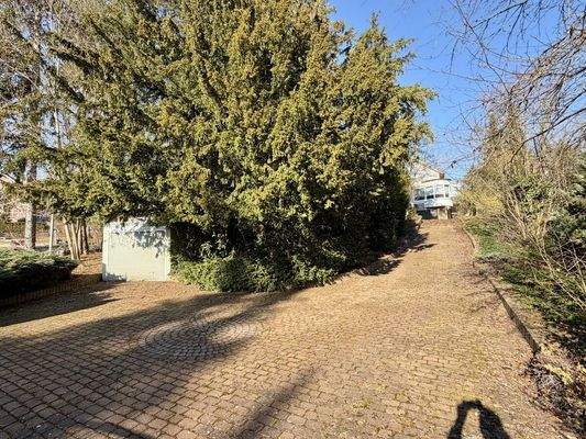 Außenebereich Auffahrt