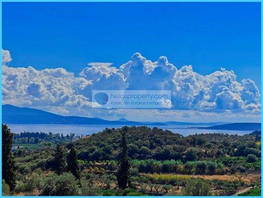 4041337b061d4972a41a4fd9aaa7a9e4-original