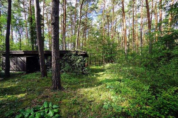 NG Garage außen (1).jpg