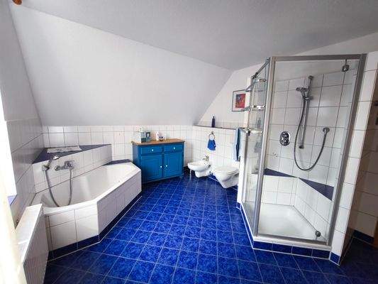 shared image (3).jpg