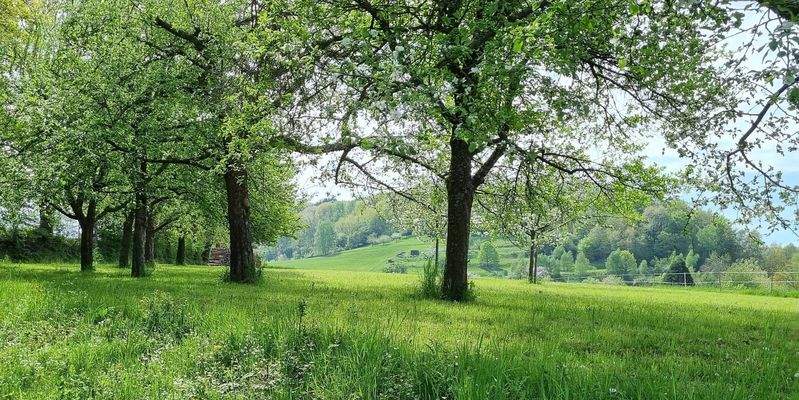 Impressionen Spazierweg