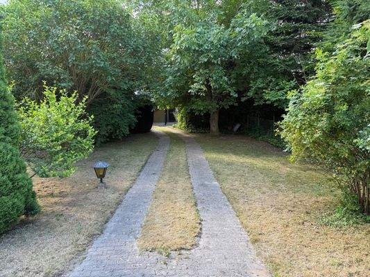 Anfahrt zum Carport.jpg