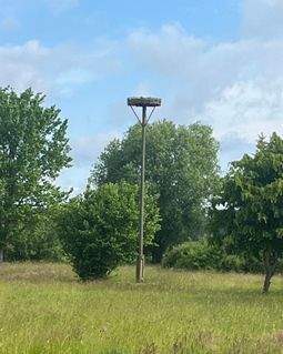 Finsterwalde Häuser, Finsterwalde Haus kaufen