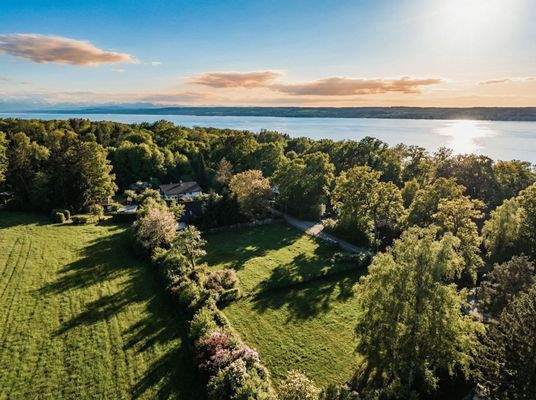 Blick auf das Baugrundstück 