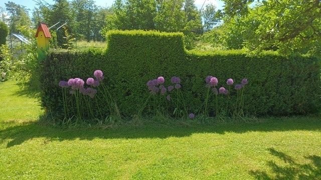 Impressionen