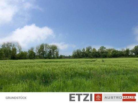 Taufkirchen an der Pram Grundstücke, Taufkirchen an der Pram Grundstück kaufen