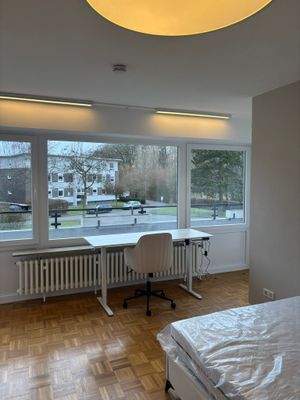 WhatsApp Image 2026-02-19 at 15.36.30 (4)