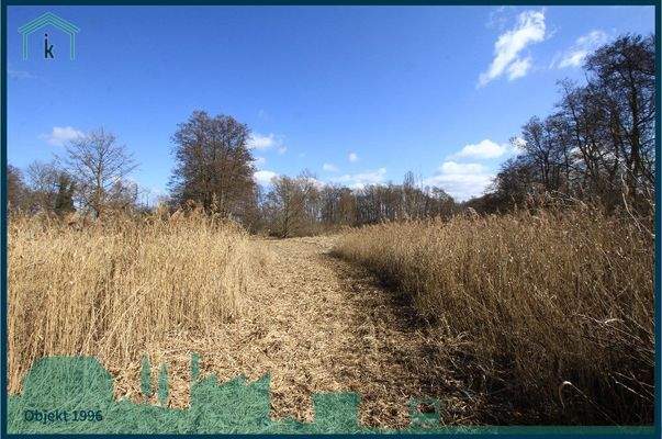 1996 Weg zum See.jpg