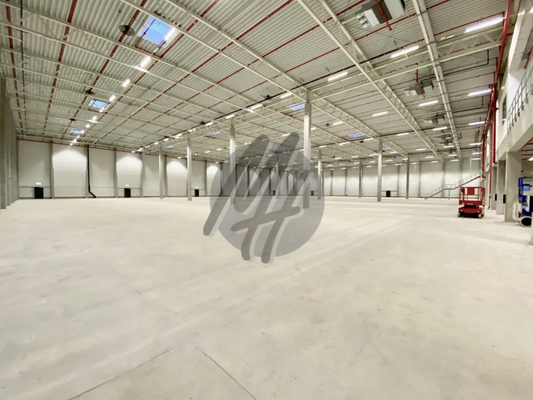 INFOS UNTER: 06171-586000