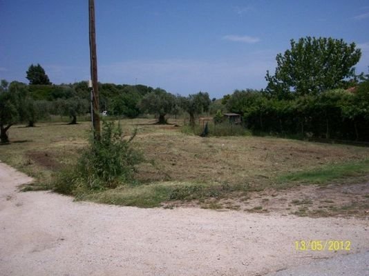 DETACHED SITHONIA HALKIDIKI             
