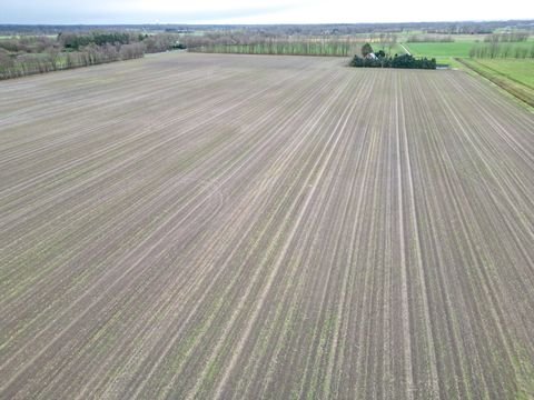 Laar Bauernhöfe, Landwirtschaft, Laar Forstwirtschaft