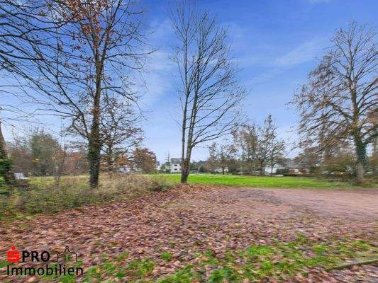 Freigelände vor dem Haus