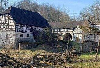 14 Baumfällarbeiten im Herbst 2024.JPG