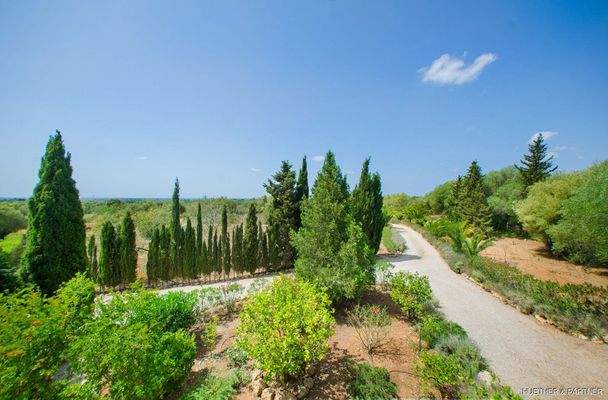 Einfahrt und Grundstück