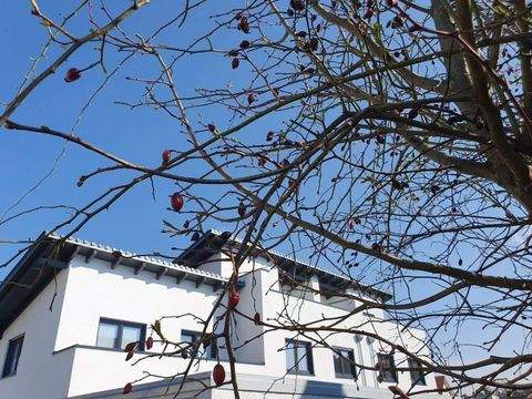 Waldkraiburg Häuser, Waldkraiburg Haus kaufen