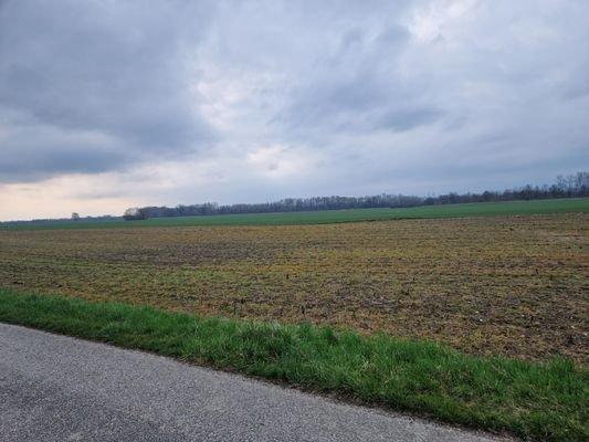 Ausblick2