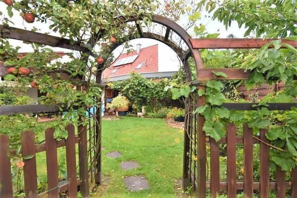Blick in den Garten (2)