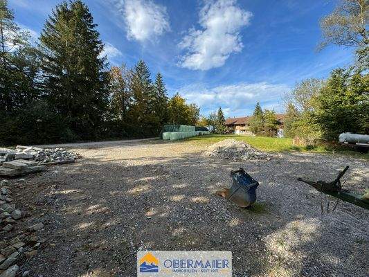 06_Blick_vom_südlichen_Grundstücksteil_nach_Norden