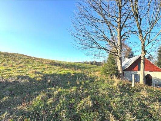 Alleinlage mit Feldern und Wiesen