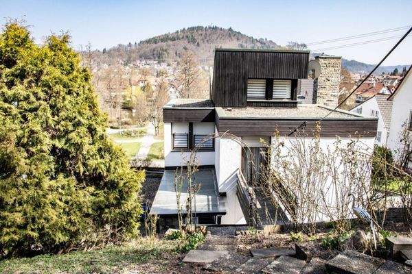 Blick aus dem Garten