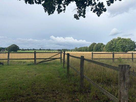 Wiesen im Norden angrenzend