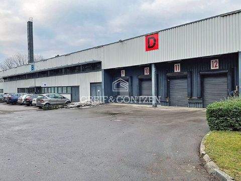 Gelsenkirchen Halle, Gelsenkirchen Hallenfläche