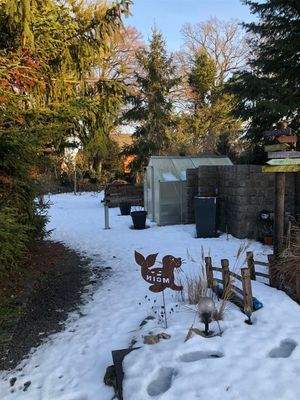 Garten mit Gewächshaus im Winter