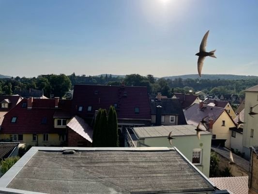 Ausblick