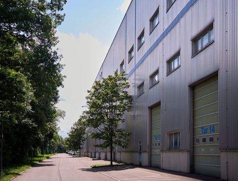 Göppingen Halle, Göppingen Hallenfläche