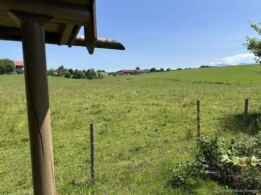 Blick von Gartenhaus